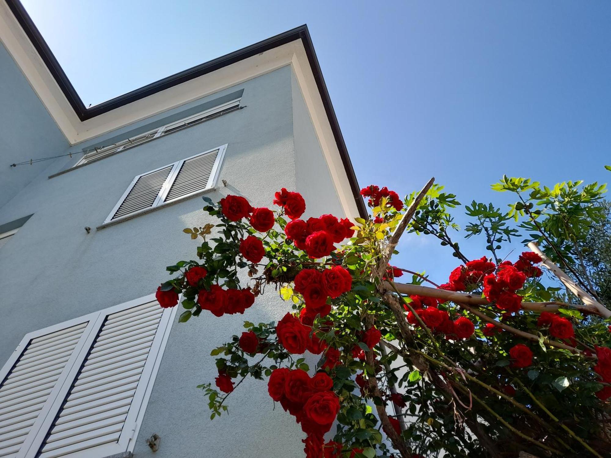 Lea Apartment Rovinj Exterior foto