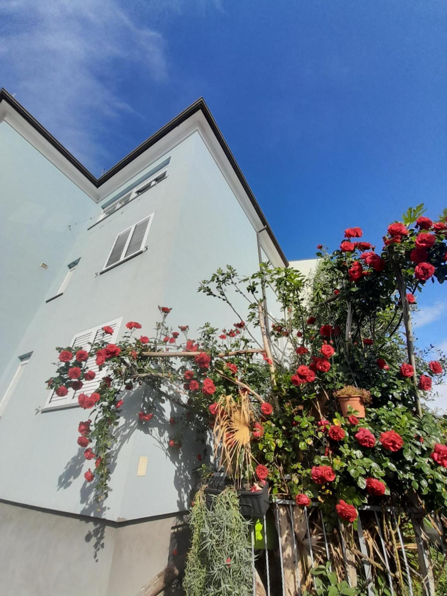 Lea Apartment Rovinj Exterior foto