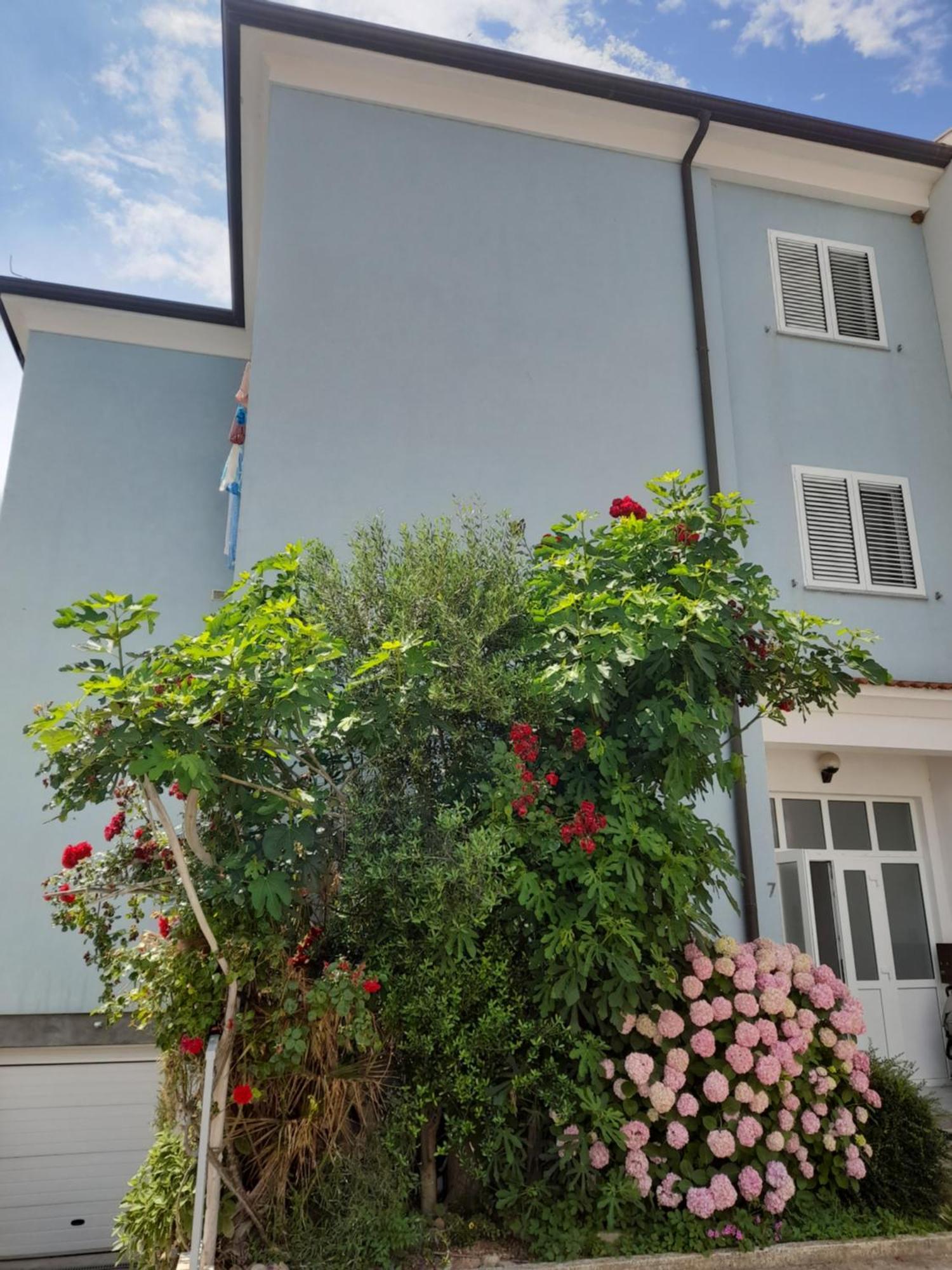 Lea Apartment Rovinj Exterior foto