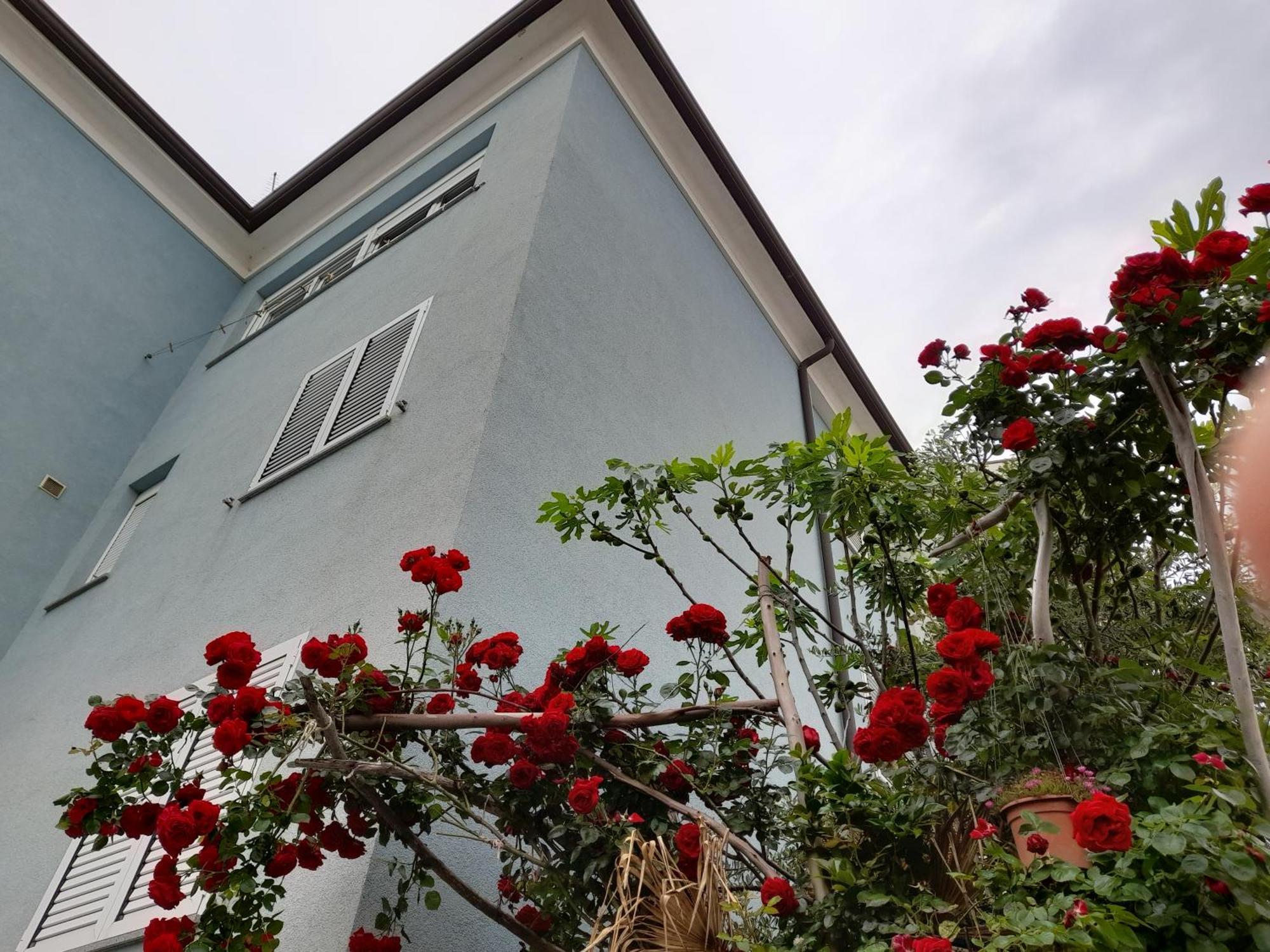Lea Apartment Rovinj Exterior foto